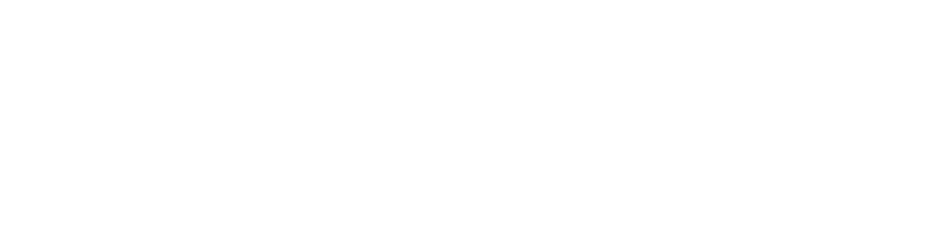 Clever Real Estate Logo